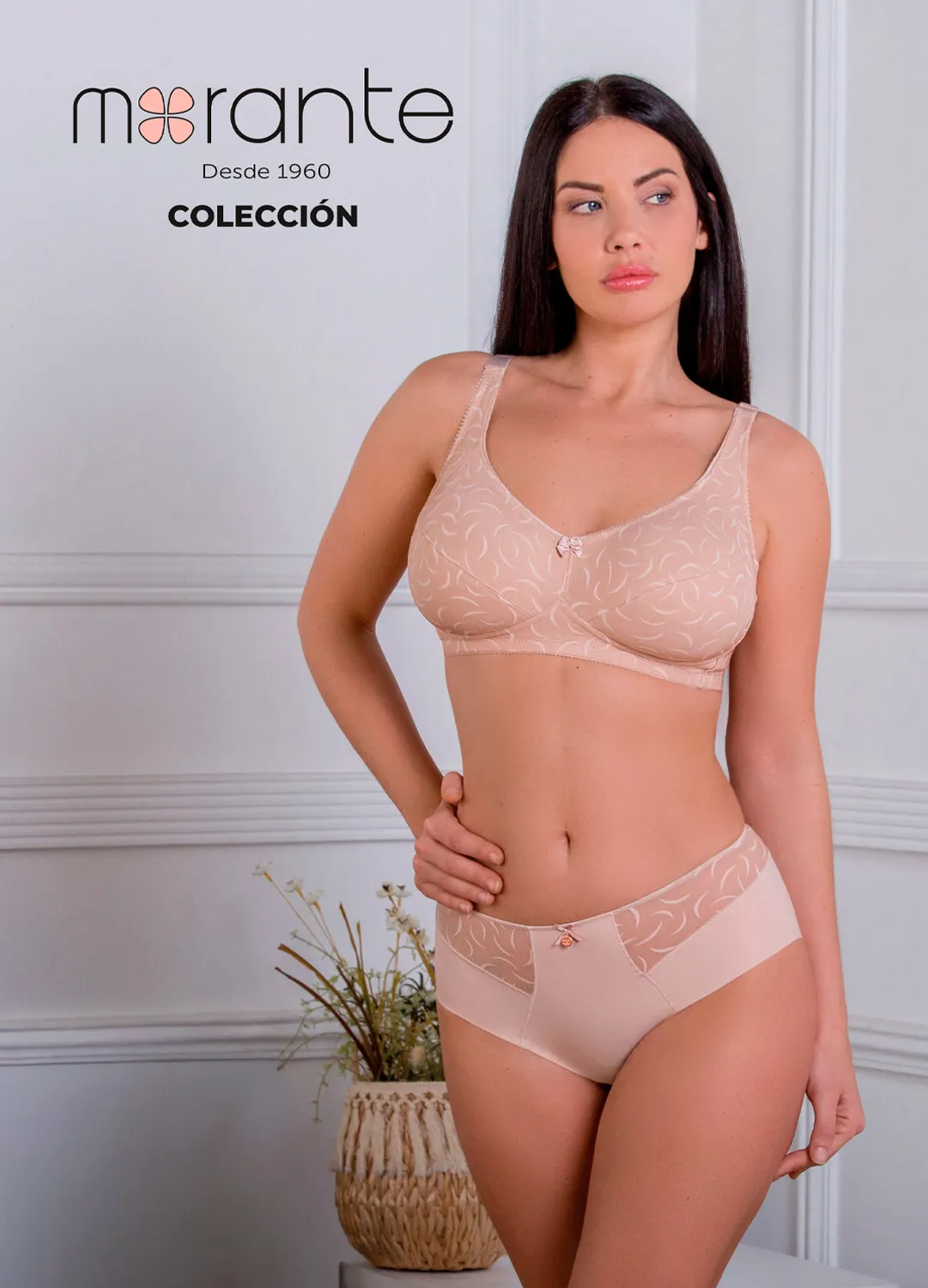 Colección Cortesia 2026